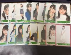 生写真　柿崎芽実　日向坂46のサムネイル