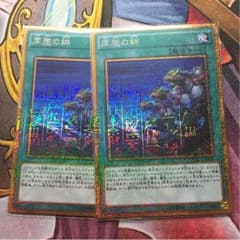 同胞の絆 ２枚セットのサムネイル