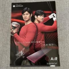 大谷翔平クリアファイルのサムネイル