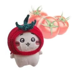 トマトの被り物 10cm 編み物 ぬいぐるみ nct ハンドメイド ぬい服