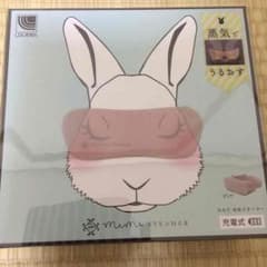 ルルド めめスチーマーのサムネイル