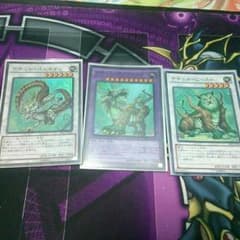 遊戯王 ナチュル・エクストリオのサムネイル