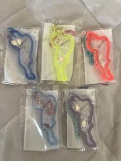 琵琶湖キーホルダー 5個セット 魚のサムネイル