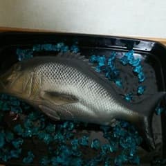 魚ソフトフィギア☆チヌ❗のサムネイル