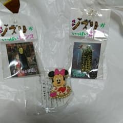 ジブリ ディズニーミニーちゃん ピンズ3セットのサムネイル