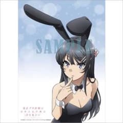 青ブタ劇場版BD購入特典 アニメイト藤沢店限定のサムネイル