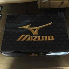 ミズノプロ硬式用グローブの箱のサムネイル