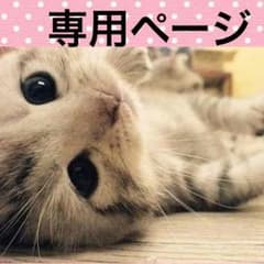 スワロフスキーゼブラ柄腕時計のサムネイル