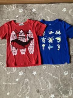 半袖Tシャツ 110 2枚セットのサムネイル