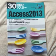 30時間でマスターAccess 2013のサムネイル