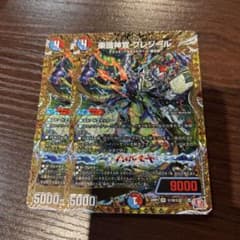 楽識神官プレジール シークレット 2枚 - メルカリ