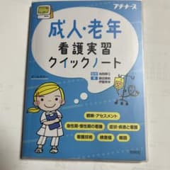 成人・老年看護実習クイックノートのサムネイル