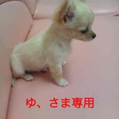 ゆ、さま専用のサムネイル