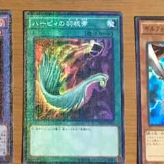 ハーピーの羽箒のサムネイル