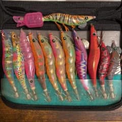 エギセット12本のサムネイル
