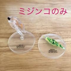 極小の共存者 微生物 ミジンコのサムネイル