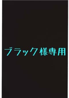 【ブラック様専用品】スプラトゥーン2のサムネイル
