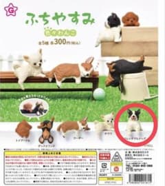 ふちやすみ 色々わんこ フレンチブルドッグ フィギュアのサムネイル