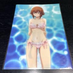 [격레어] 그란부루 A4 클리어 파일 코테가와 치사 나나카 수영복