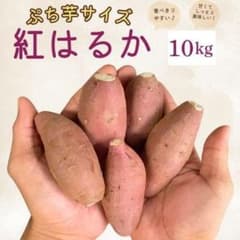 最高糖度☆ぷち芋 紅はるか 訳あり 10kg さつまいも 399 - メルカリ