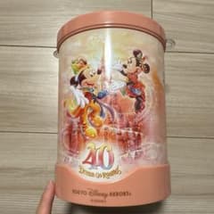 도쿄 디즈니 리조트 40주년 팝콘 버킷