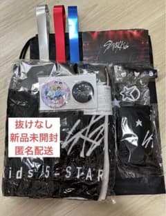 straykids ドームツアーアップグレードsclassシート　特典のサムネイル