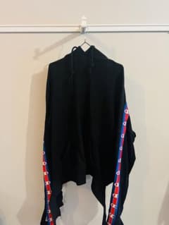 【美品】ヴェトモン✖︎チャンピオン　vetements championパーカーのサムネイル