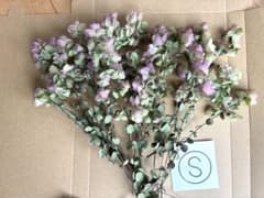 オレガノケントビューティー　ドライフラワー　花材おすそ分け　リース　アレンジ Sーオレガノケントビューティー ドライフラワー花材 リーススワッグ