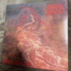 Morbid Angel Blessed Are the Sick LPのサムネイル