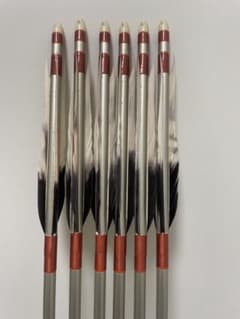 【美品】遠的 ジュラ矢6本 101cm EASTON 1913のサムネイル