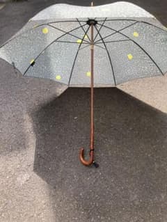 イイダ傘店の雨傘のサムネイル