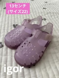 Igor イゴール 13センチ　クリア　パープル　サイズ22のサムネイル