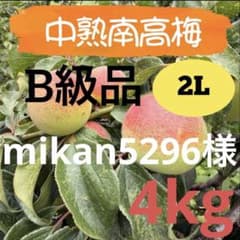 57 mikan5296様　中熟南高梅　訳あり　2Lサイズ　4kgのサムネイル