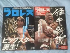 週刊プロレス 2冊セット No.2424 No.2425のサムネイル