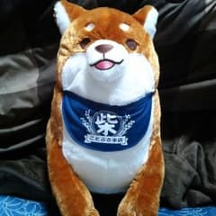 【値段交渉応じます!!】もちしば大きなぬいぐるみ(おかか)のサムネイル