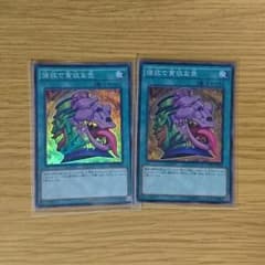 専用  強欲で貪欲な壺２枚のサムネイル
