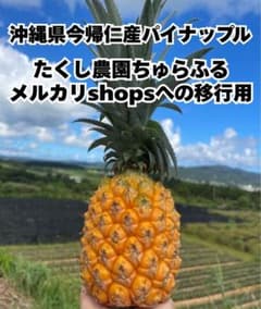 たくし農園ちゅふる メルカリshops移行ページ！農家直送！沖縄県