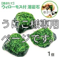 うにこ様 専用ページです。のサムネイル
