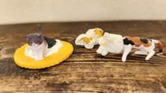 カプセルトイ　ミニチュア猫のサムネイル
