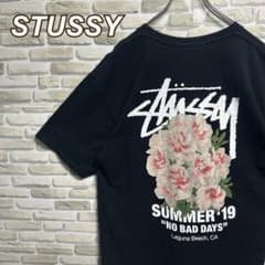 343【人気Lサイズ】ステューシー♧ビッグロゴ 最高デザイン 半袖T 