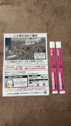 大洗海上花火大会チケット　即日発送 - 2