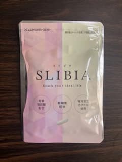 スリビア 乳酸菌酪酸菌 30粒のサムネイル