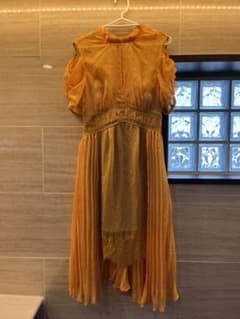 【ればこ様専用】セルフポートレート　ワンピースのサムネイル