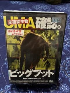 ビッグフットDVDのサムネイル