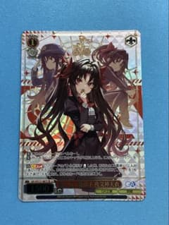 WS GA文庫 竜王の二番弟子 夜叉神天衣 SR - メルカリ