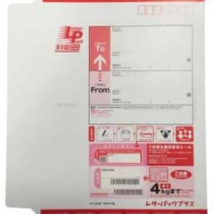 【おまけ付き レターパックライト1枚】レターパックプラス 11枚 全国510円のサムネイル