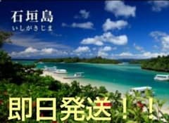 沖縄 石垣島クーポンのサムネイル