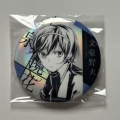 m17628242510_1.jpg?1759997979