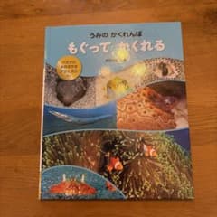 うみのかくれんぼ もぐってかくれる 絵本のサムネイル