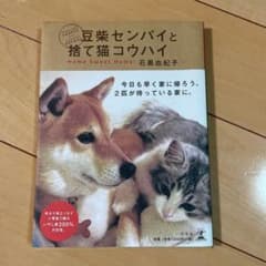 豆柴センパイと捨て猫コウハイのサムネイル